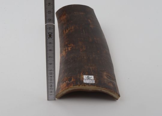 Brown mammoth bark