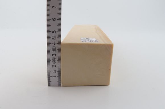 White mammoth ivory segment
