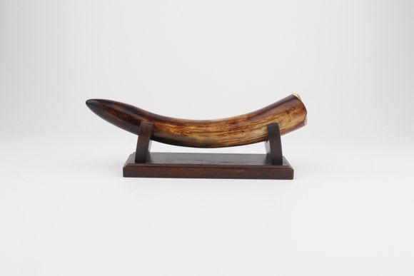 Restored mammoth tusk tip