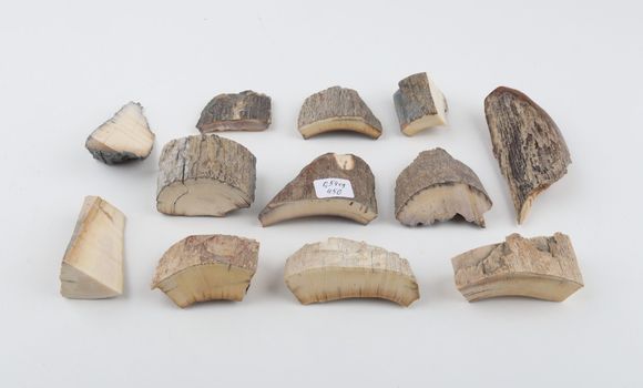 Raw mammoth bark pieces