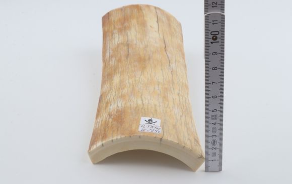 Natural mammoth bark