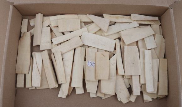 White mammoth ivory pieces