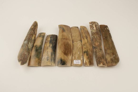 Natural mammoth bark pieces