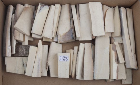 Untreated white mammoth ivory pieces
