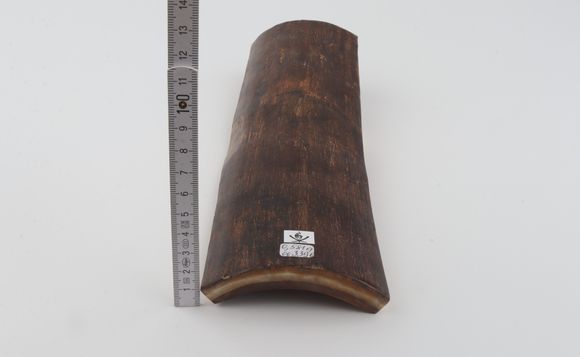 Brown mammoth bark
