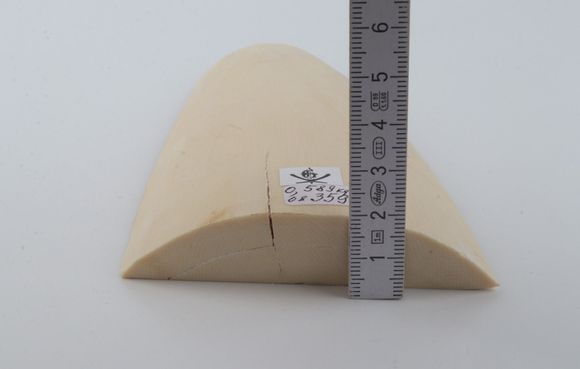White mammoth ivory piece