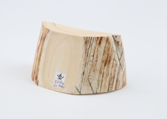 Natural mammoth tusk piece