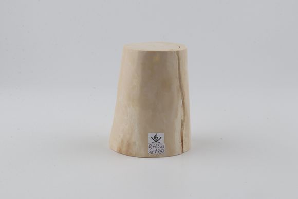 Natural mammoth tusk piece