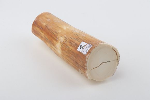 Round woolly mammoth tusk piece