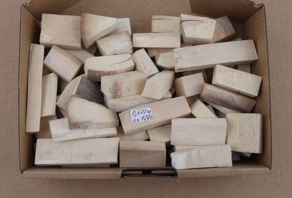 White mammoth ivory pieces