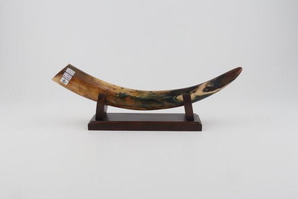 Restored mammoth tusk tip