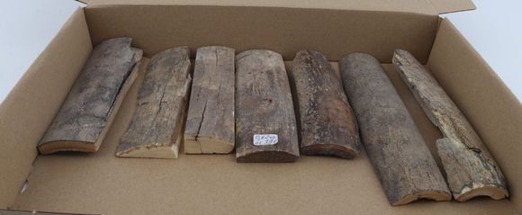 Raw mammoth bark pieces