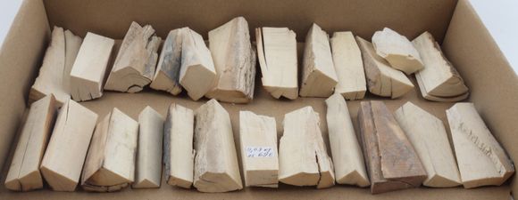 Raw mammoth ivory pieces