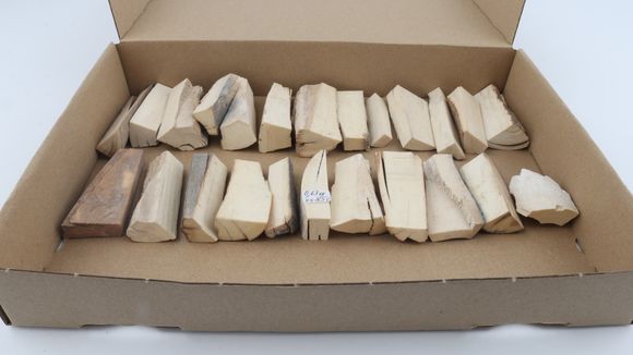 Raw mammoth ivory pieces