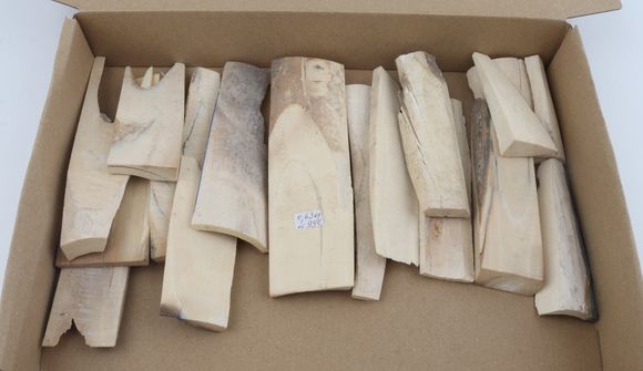 Untreated white mammoth ivory offcuts