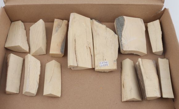 Untreated mammoth ivory pieces