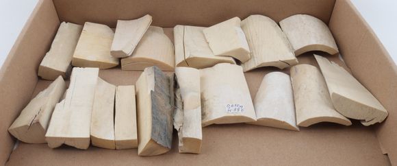 Untreated mammoth ivory pieces