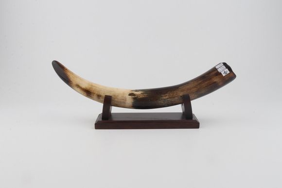 Restored woolly mammoth tusk