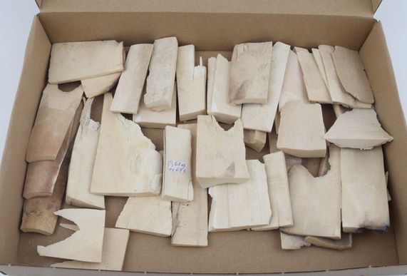 Raw white mammoth ivory offcuts