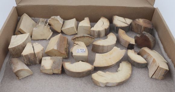Raw mammoth ivory pieces