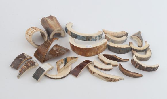 Natural mammoth bark pieces