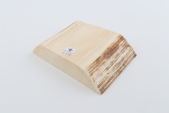 White mammoth ivory segment