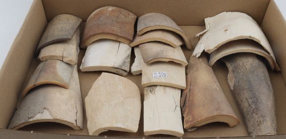 Untreated mammoth ivory pieces
