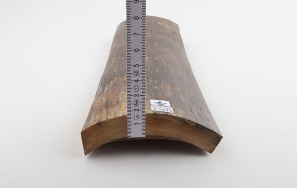 Brown mammoth bark