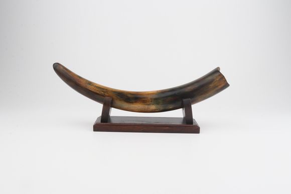 Restored mammoth tusk
