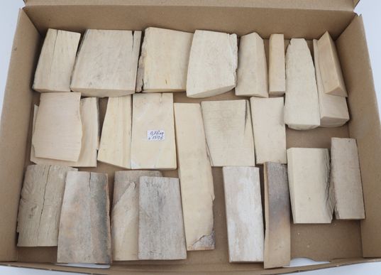 Raw mammoth ivory pieces