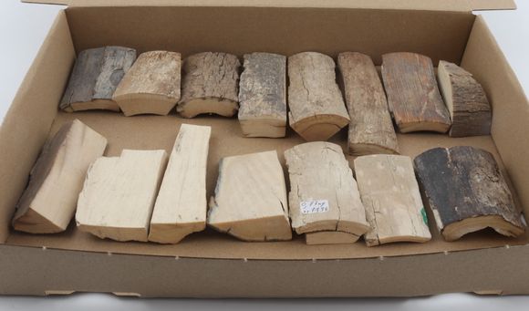 Raw mammoth bark pieces