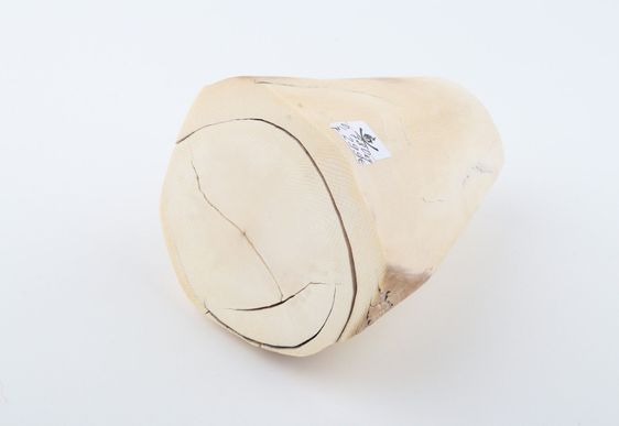 Natural mammoth ivory piece