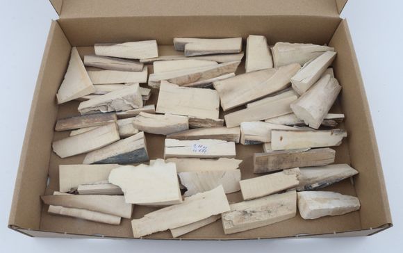 Untreated mammoth ivory offcuts