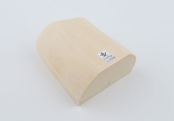 White mammoth ivory segment