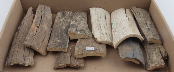 Untreated mammoth bark pieces