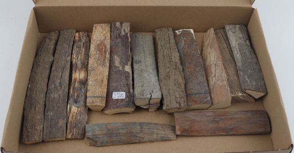 Untreated mammoth bark pieces