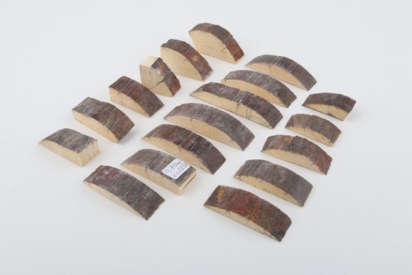 Raw mammoth bark pieces