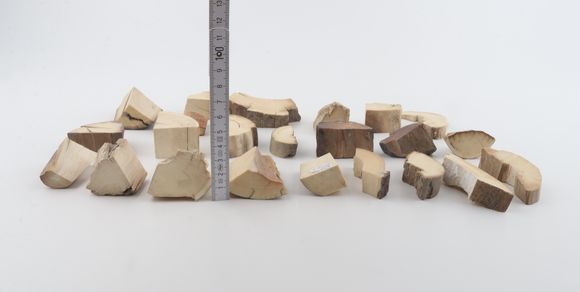 Raw mammoth ivory pieces