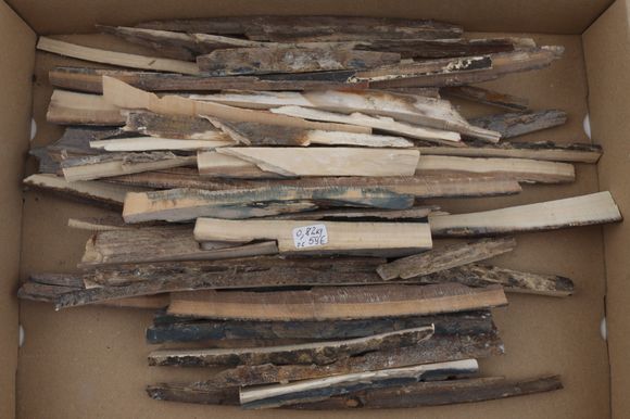 Raw mammoth ivory offcuts