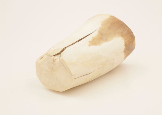 White mammoth ivory piece