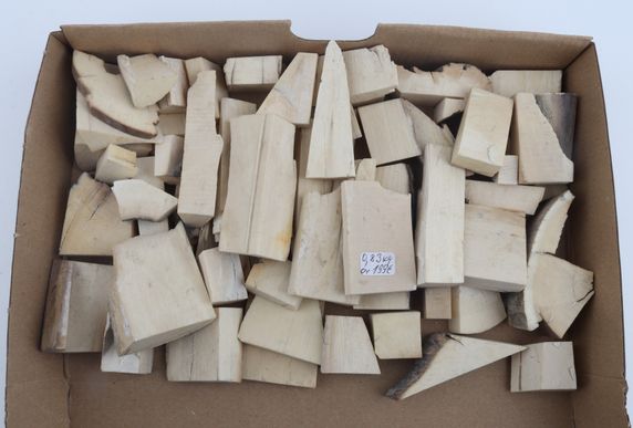 White mammoth ivory offcuts