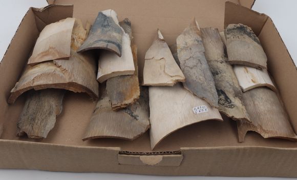 Raw mammoth ivory pieces