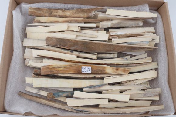 Natural mammoth ivory offcuts