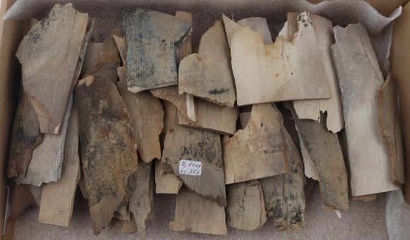 Untreated mammoth ivory pieces