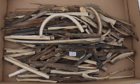 Untreated mammoth ivory offcuts