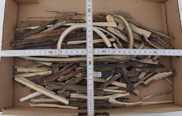 Raw mammoth ivory offcuts