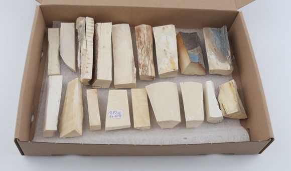 Natural mammoth ivory pieces