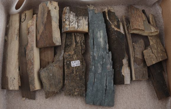 Raw mammoth ivory pieces