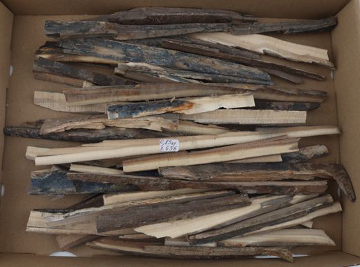 Raw mammoth ivory offcuts