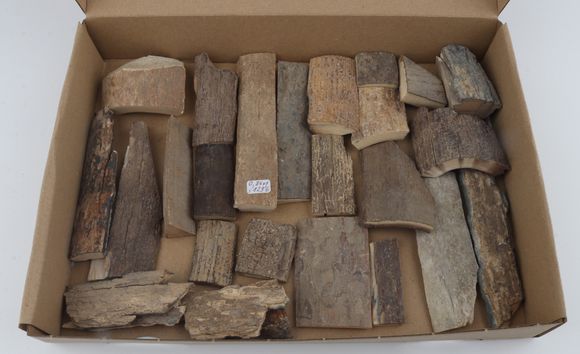 Untreated mammoth bark pieces